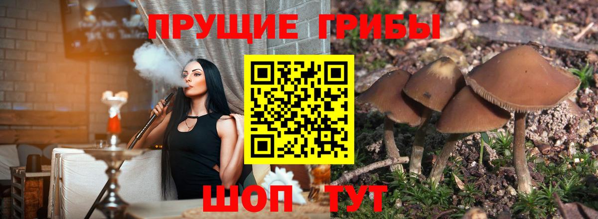 Псилоцибиновые грибы мицелий  Вход с VPN  Волжский 